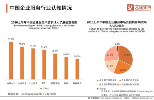 艾媒咨询2021上半年中国企业服务专题研究报告 信息咨询服务